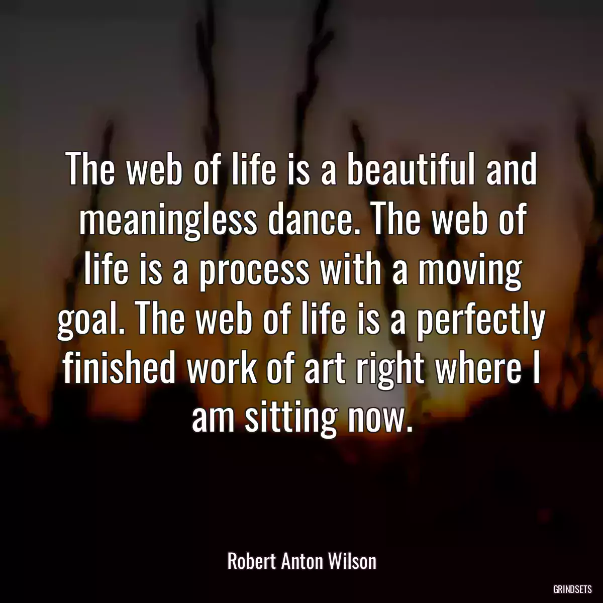 The web of life is a beautiful and meaningless dance. The web of life is a process with a moving goal. The web of life is a perfectly finished work of art right where I am sitting now.