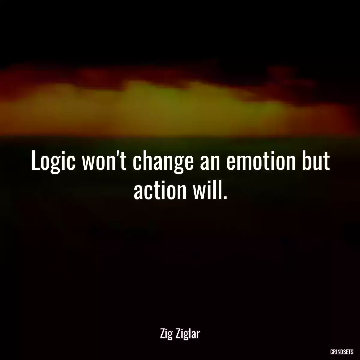 Logic won\'t change an emotion but action will.