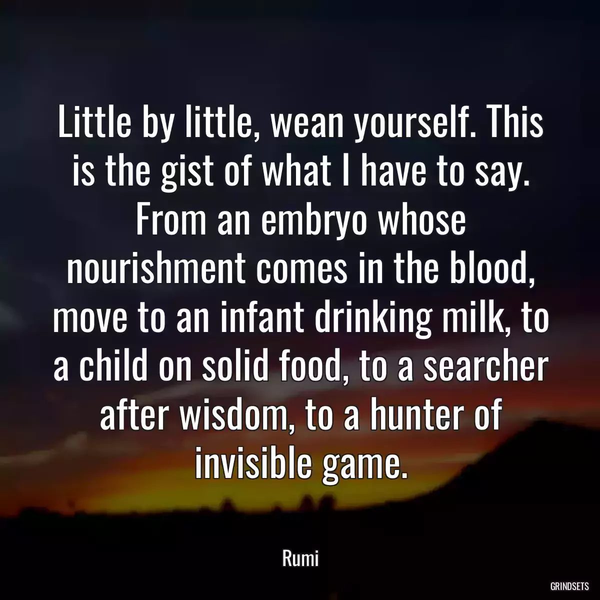 Little by little, wean yourself. This is the gist of what I have to say. From an embryo whose nourishment comes in the blood, move to an infant drinking milk, to a child on solid food, to a searcher after wisdom, to a hunter of invisible game.