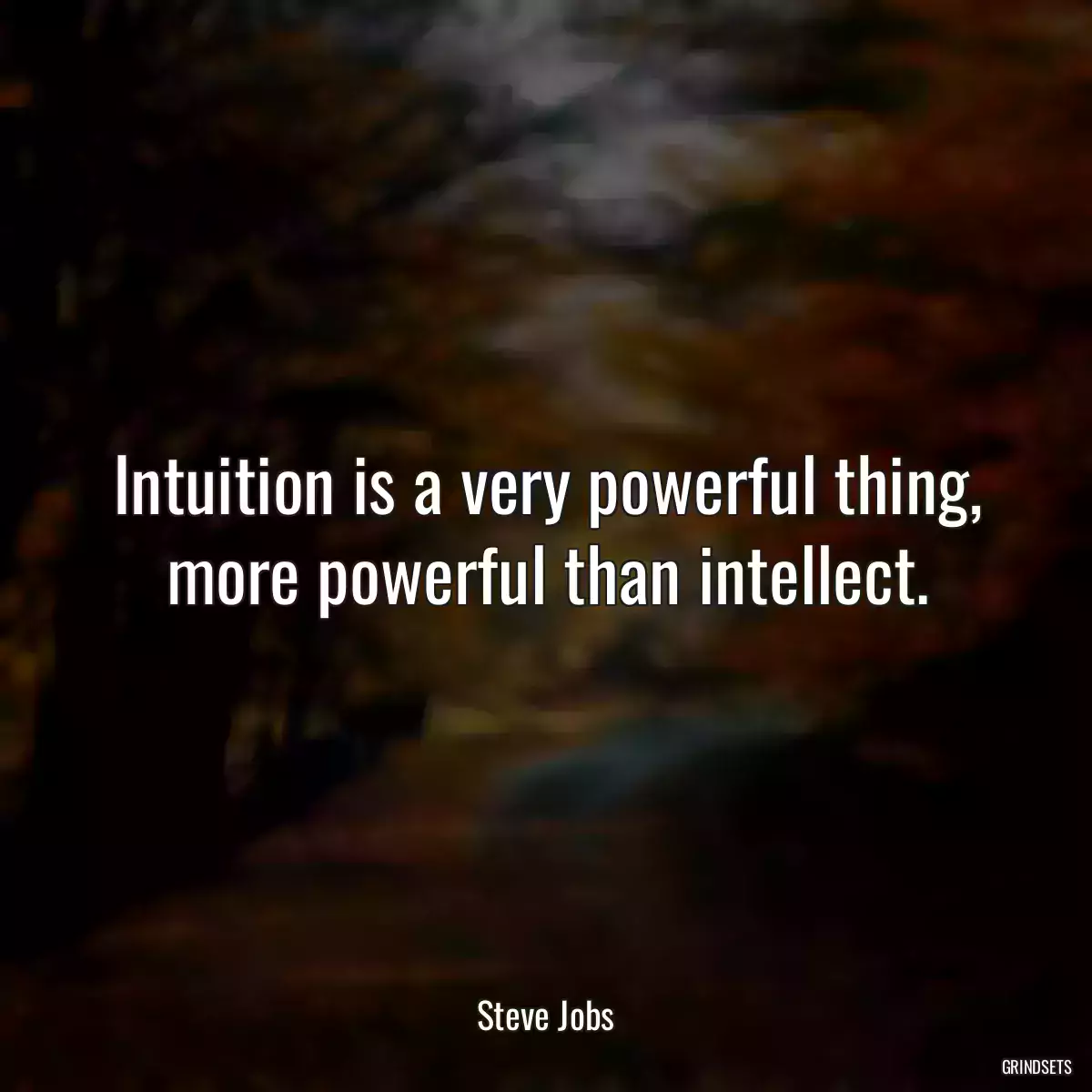 Intuition is a very powerful thing, more powerful than intellect.