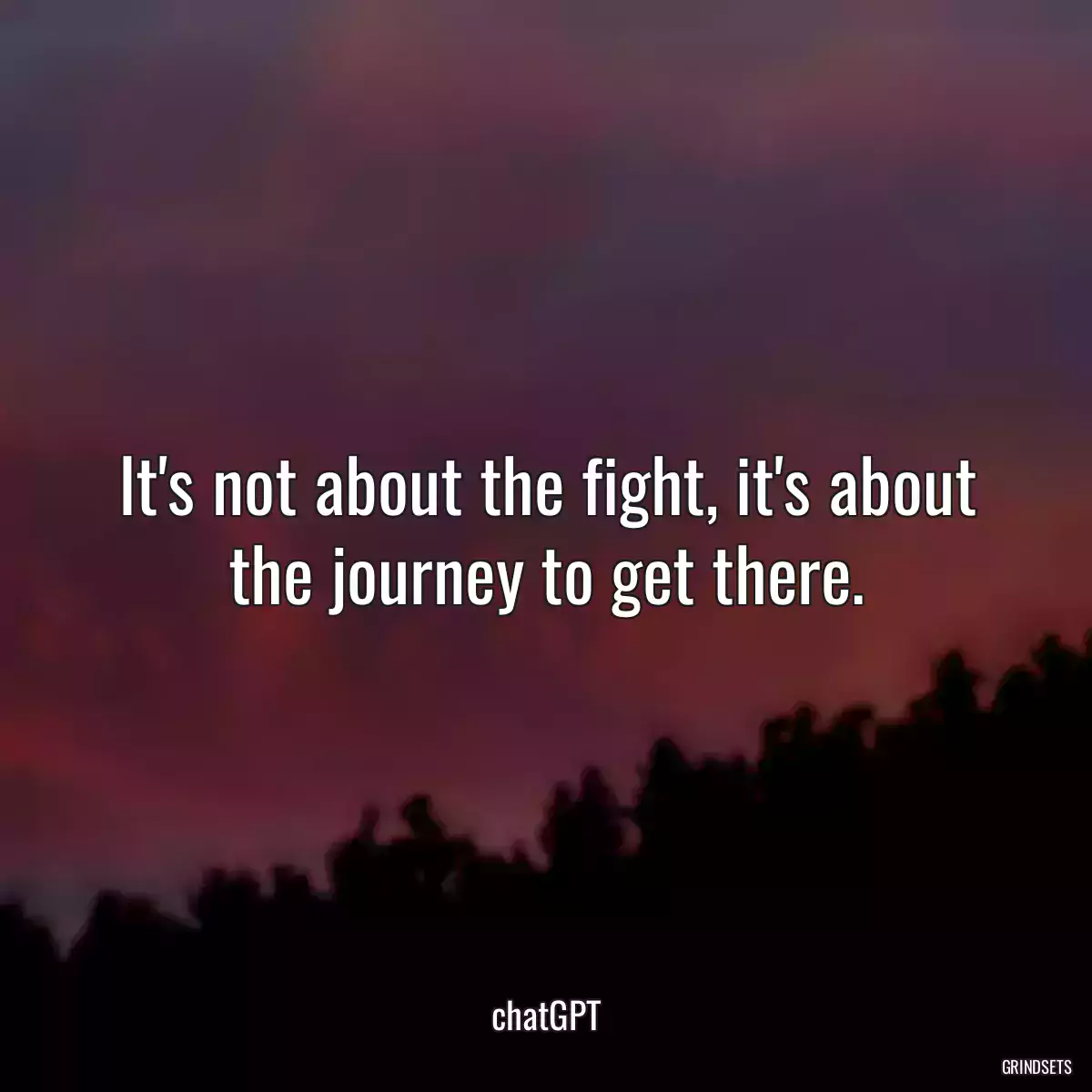 It\'s not about the fight, it\'s about the journey to get there.