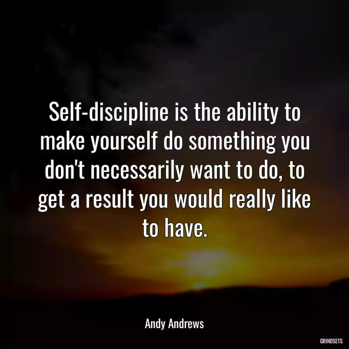 Self-discipline is the ability to make yourself do something you don\'t necessarily want to do, to get a result you would really like to have.