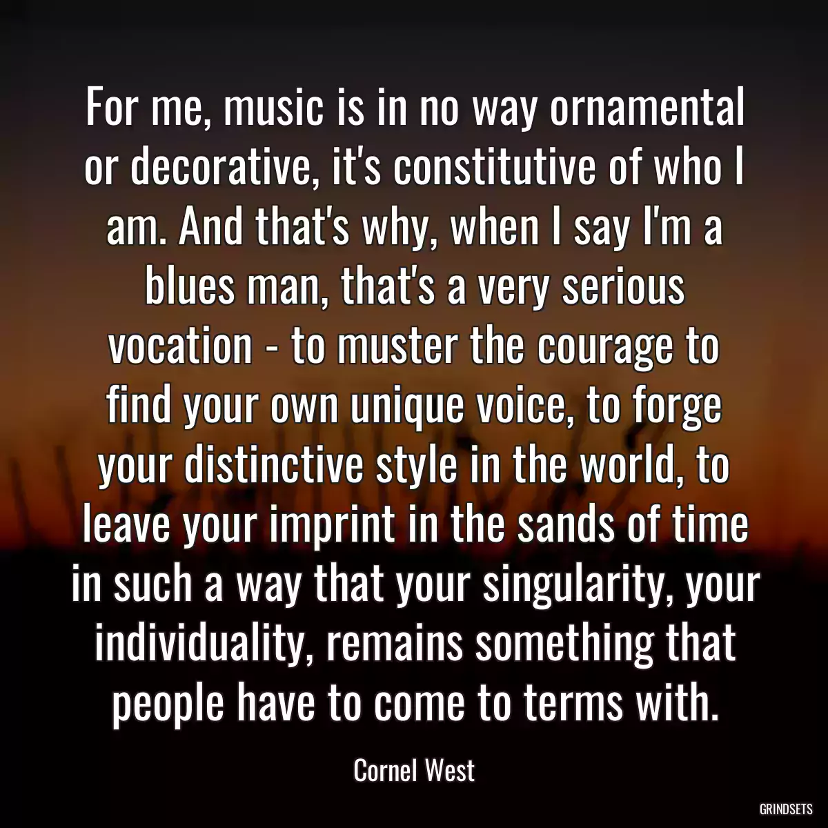 For me, music is in no way ornamental or decorative, it\'s constitutive of who I am. And that\'s why, when I say I\'m a blues man, that\'s a very serious vocation - to muster the courage to find your own unique voice, to forge your distinctive style in the world, to leave your imprint in the sands of time in such a way that your singularity, your individuality, remains something that people have to come to terms with.