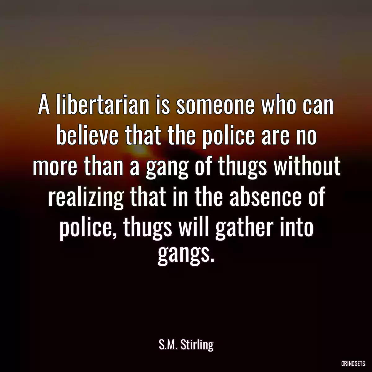 A libertarian is someone who can believe that the police are no more than a gang of thugs without realizing that in the absence of police, thugs will gather into gangs.