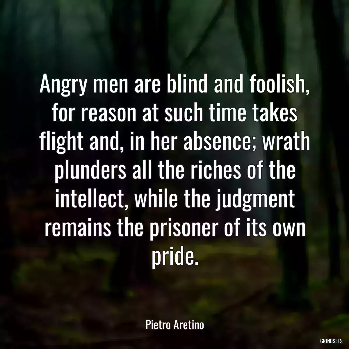 Angry men are blind and foolish, for reason at such time takes flight and, in her absence; wrath plunders all the riches of the intellect, while the judgment remains the prisoner of its own pride.