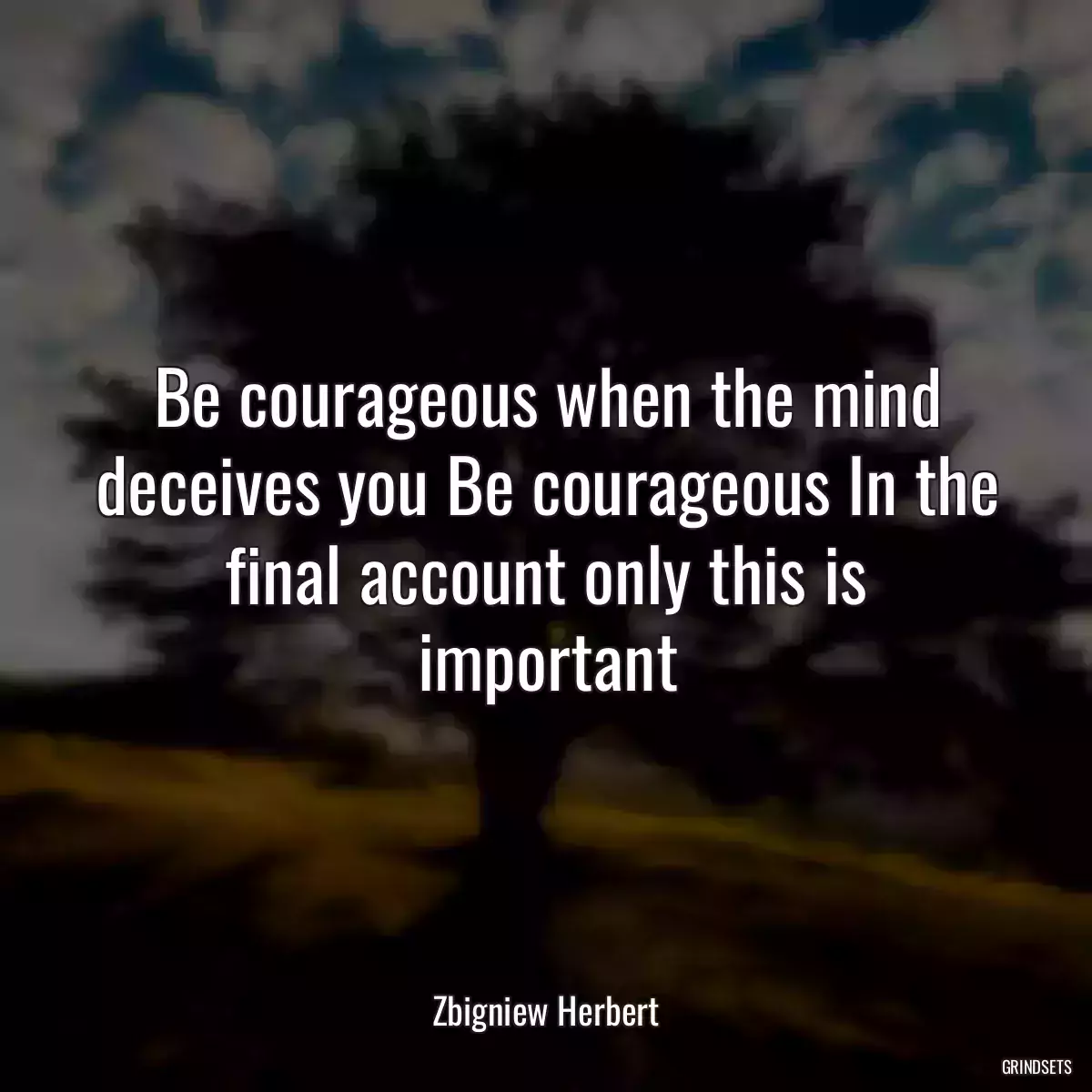 Be courageous when the mind deceives you Be courageous In the final account only this is important