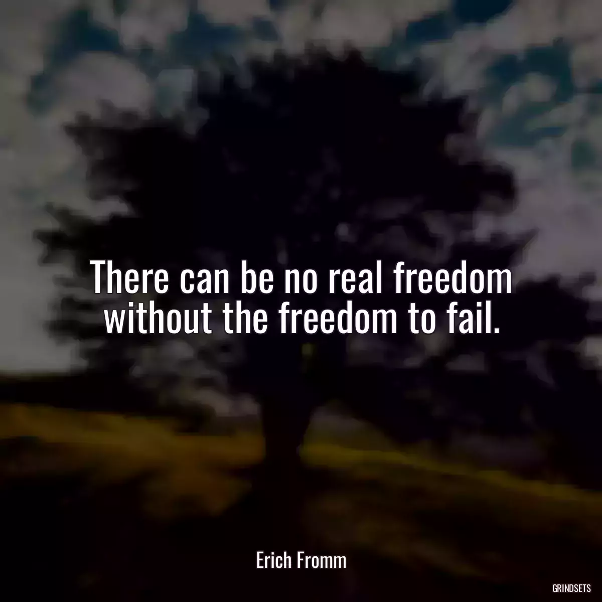 There can be no real freedom without the freedom to fail.