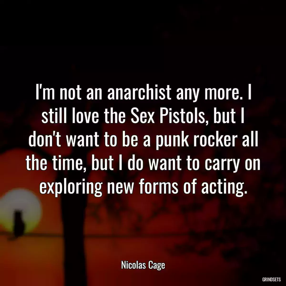 I\'m not an anarchist any more. I still love the Sex Pistols, but I don\'t want to be a punk rocker all the time, but I do want to carry on exploring new forms of acting.