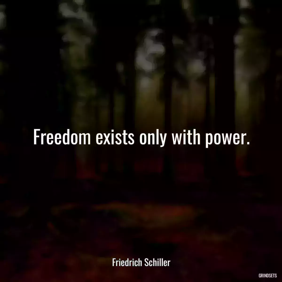 Freedom exists only with power.