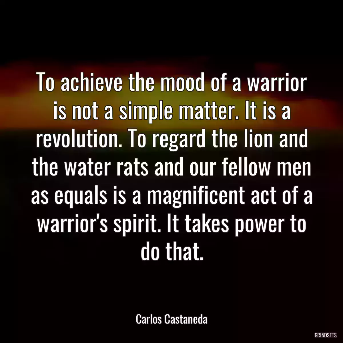 To achieve the mood of a warrior is not a simple matter. It is a revolution. To regard the lion and the water rats and our fellow men as equals is a magnificent act of a warrior\'s spirit. It takes power to do that.
