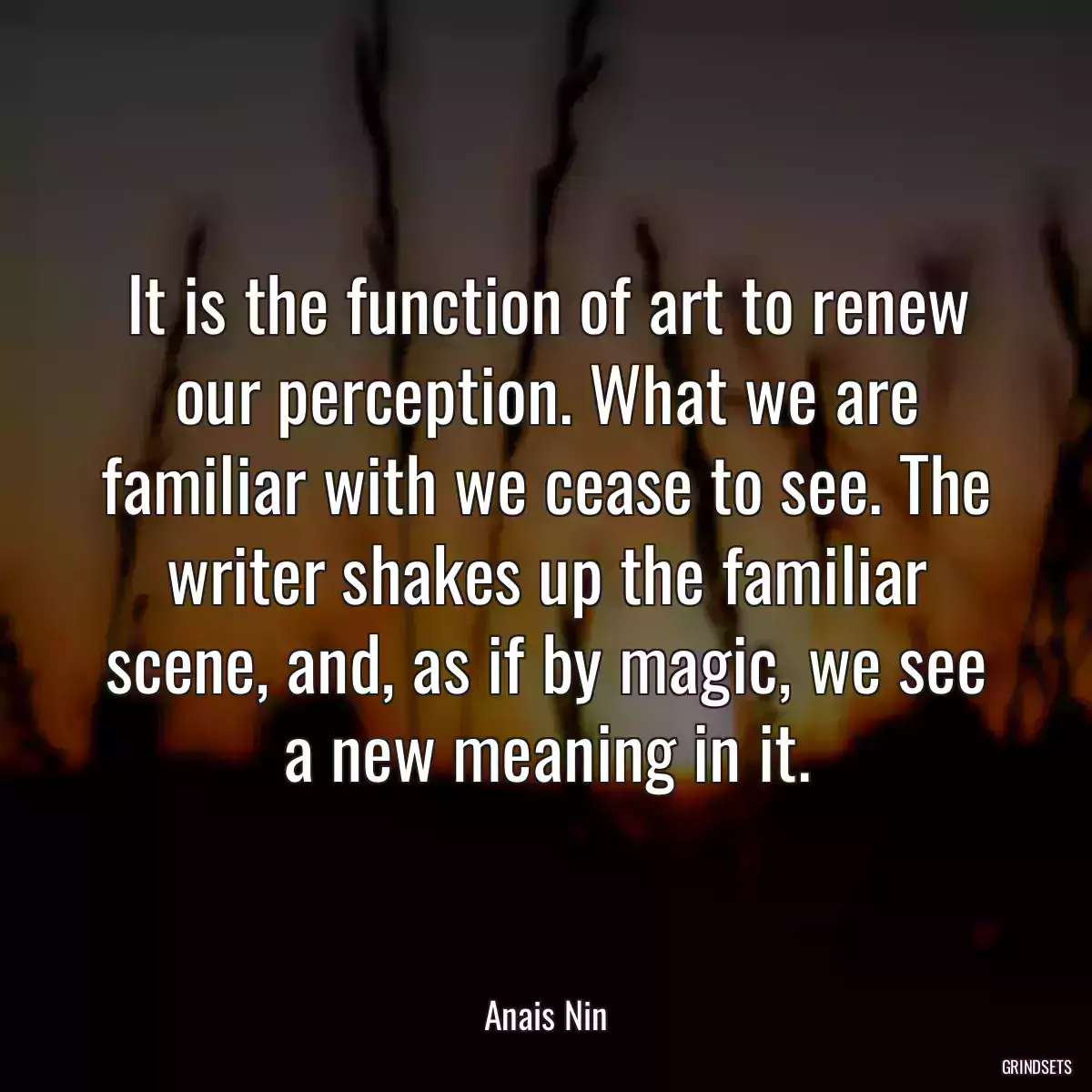 It is the function of art to renew our perception. What we are familiar with we cease to see. The writer shakes up the familiar scene, and, as if by magic, we see a new meaning in it.