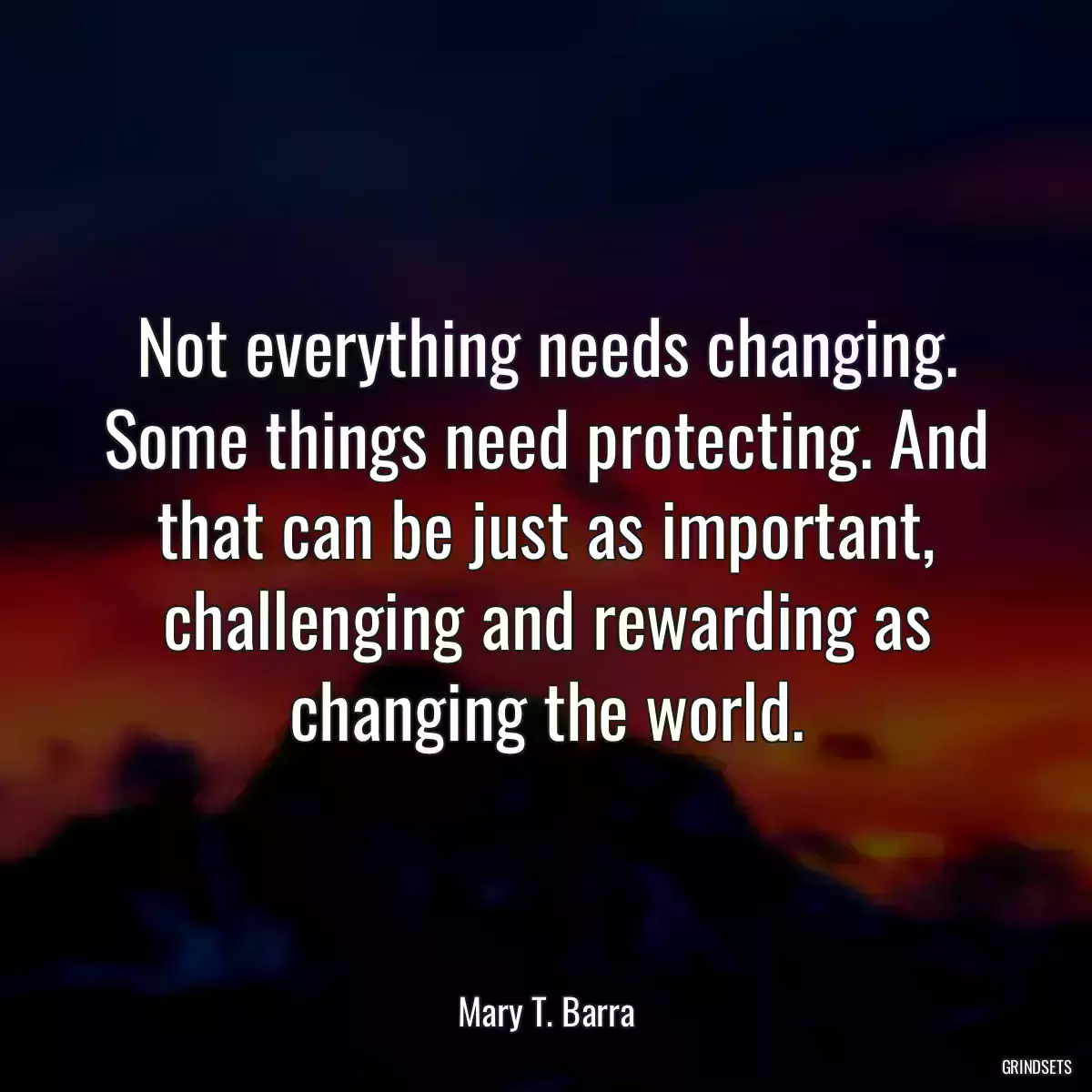 Not everything needs changing. Some things need protecting. And that can be just as important, challenging and rewarding as changing the world.