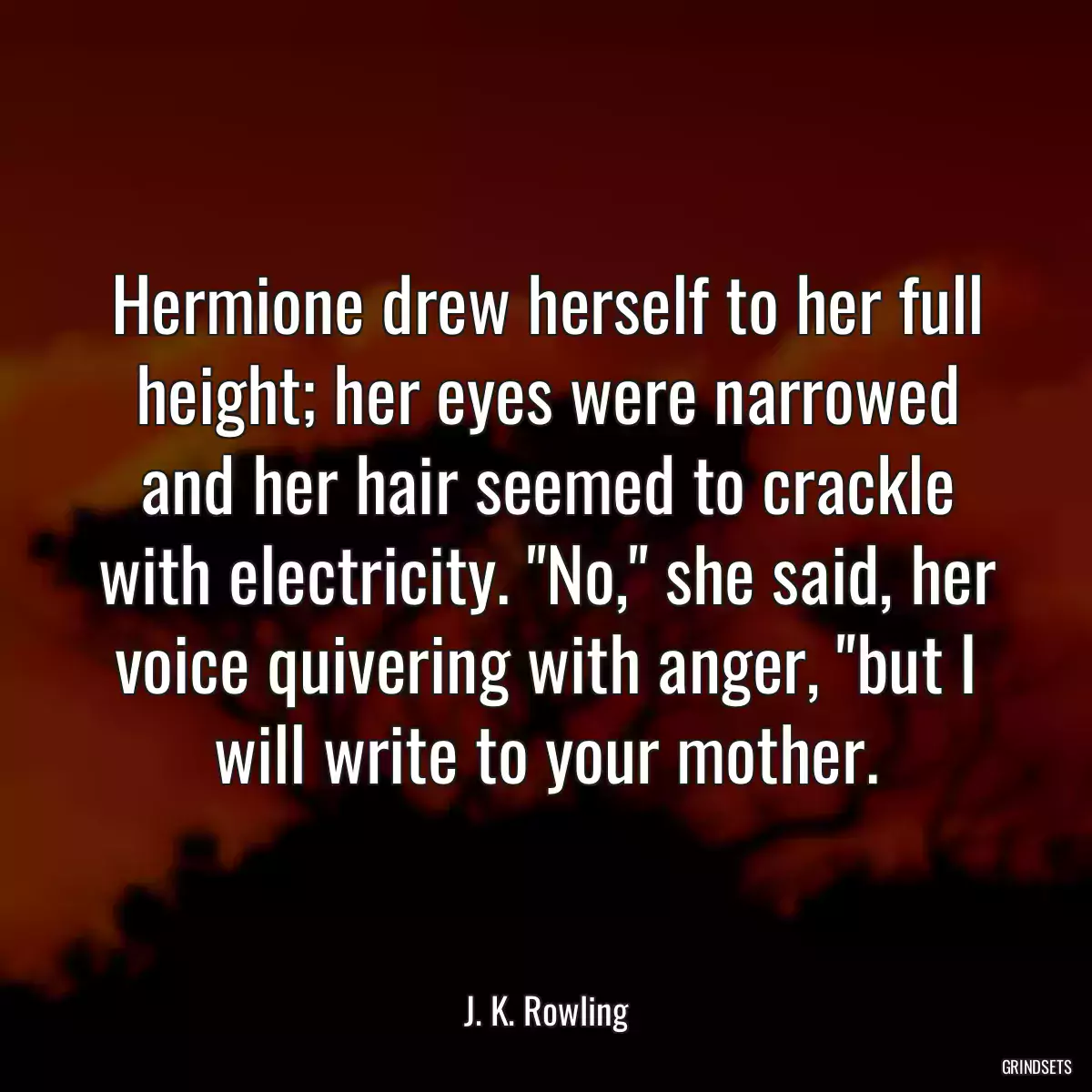 Hermione drew herself to her full height; her eyes were narrowed and her hair seemed to crackle with electricity. \