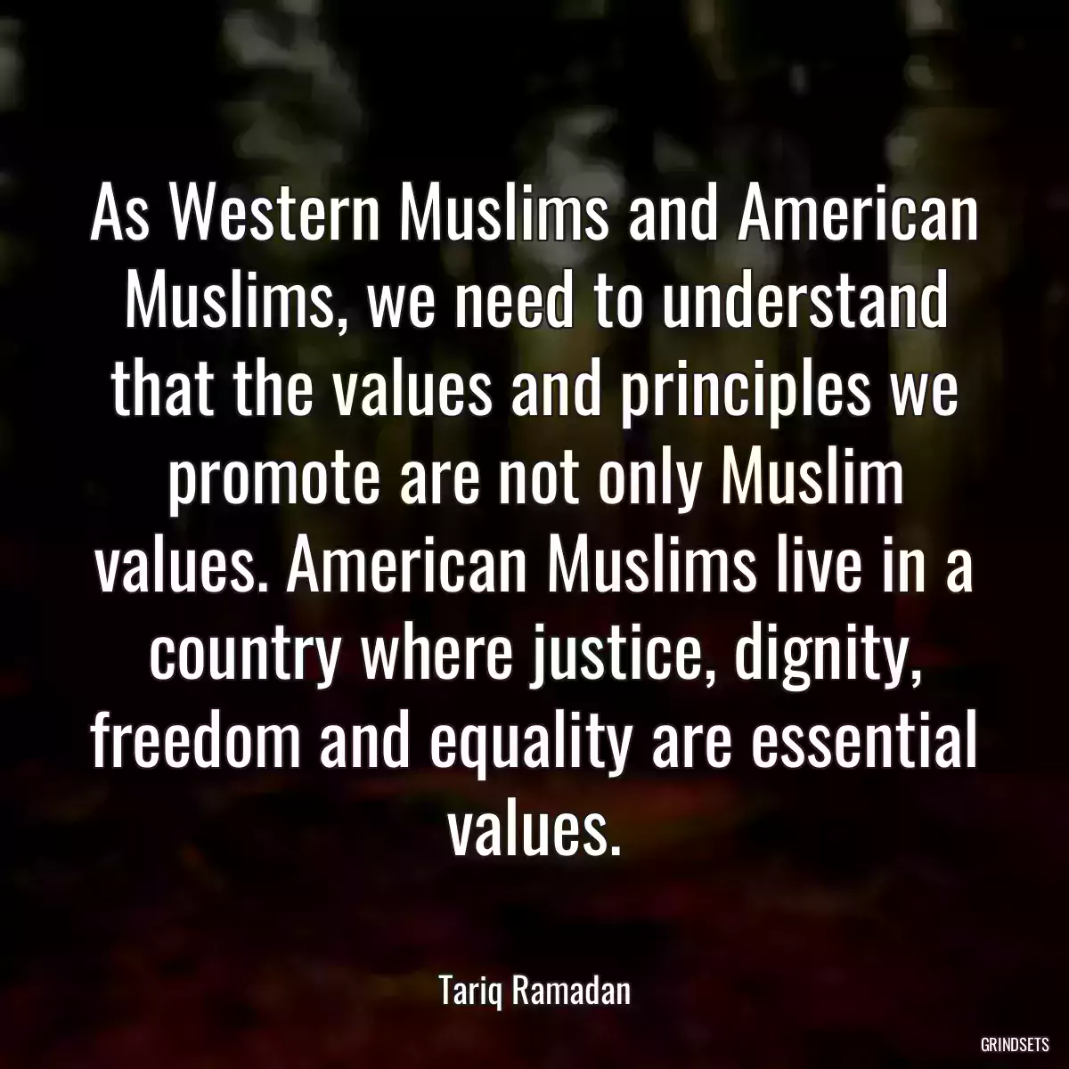As Western Muslims and American Muslims, we need to understand that the values and principles we promote are not only Muslim values. American Muslims live in a country where justice, dignity, freedom and equality are essential values.