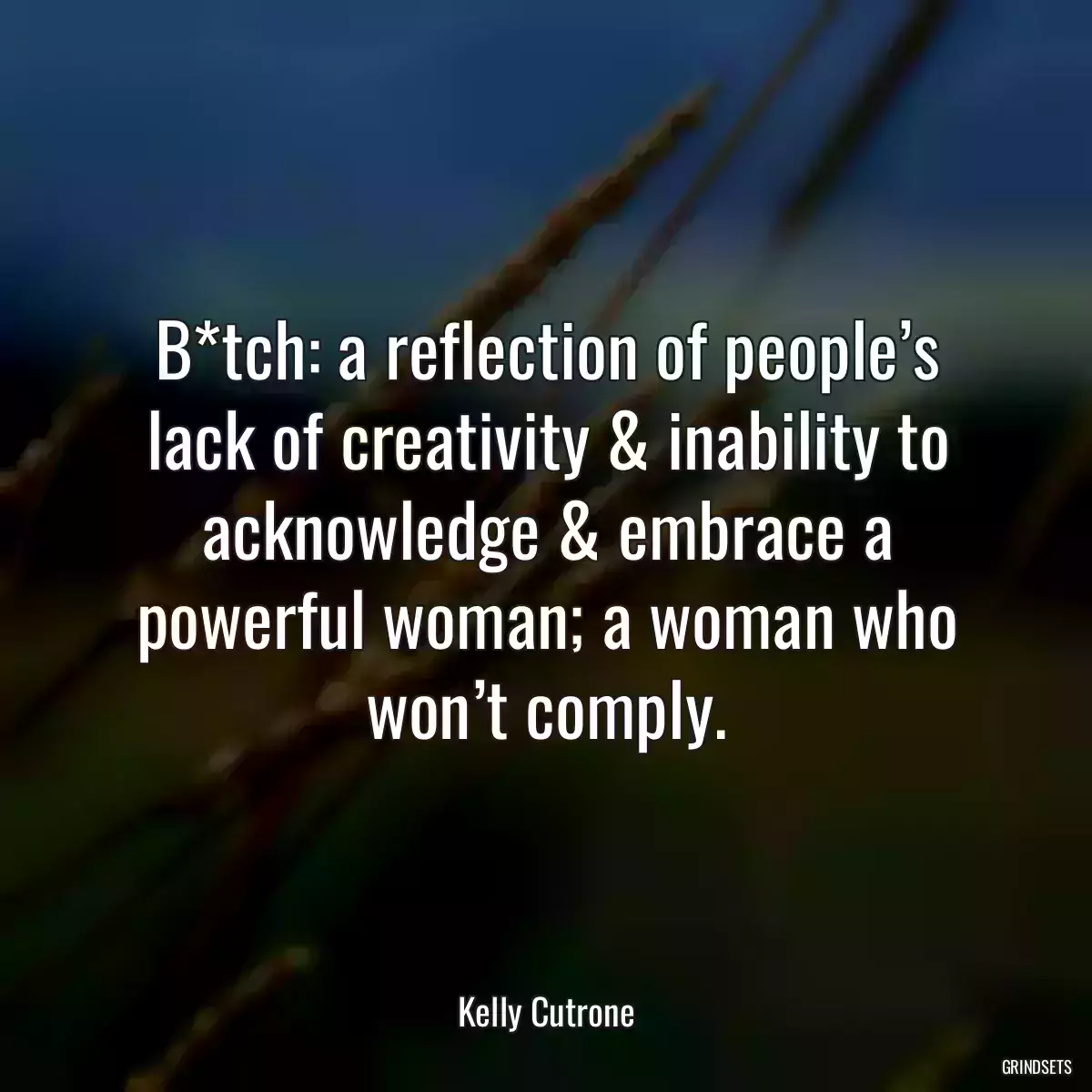 B*tch: a reflection of people’s lack of creativity & inability to acknowledge & embrace a powerful woman; a woman who won’t comply.