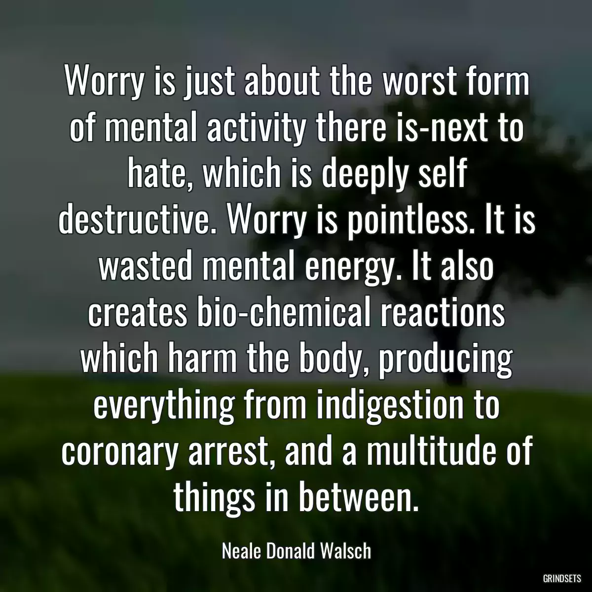 Worry is just about the worst form of mental activity there is-next to hate, which is deeply self destructive. Worry is pointless. It is wasted mental energy. It also creates bio-chemical reactions which harm the body, producing everything from indigestion to coronary arrest, and a multitude of things in between.