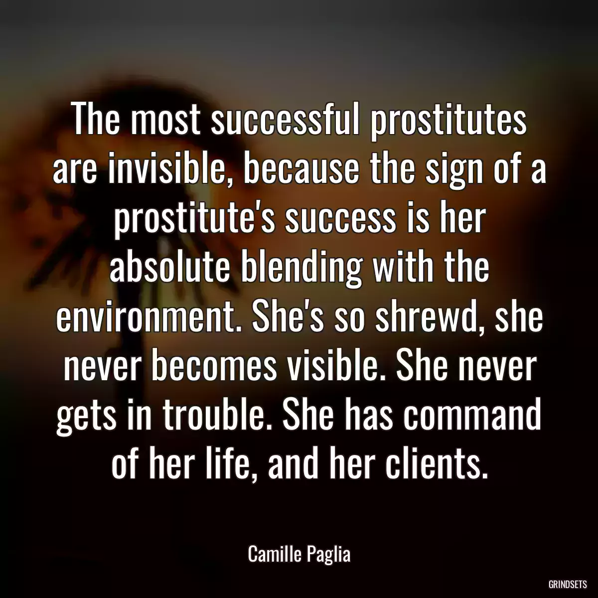 The most successful prostitutes are invisible, because the sign of a prostitute\'s success is her absolute blending with the environment. She\'s so shrewd, she never becomes visible. She never gets in trouble. She has command of her life, and her clients.