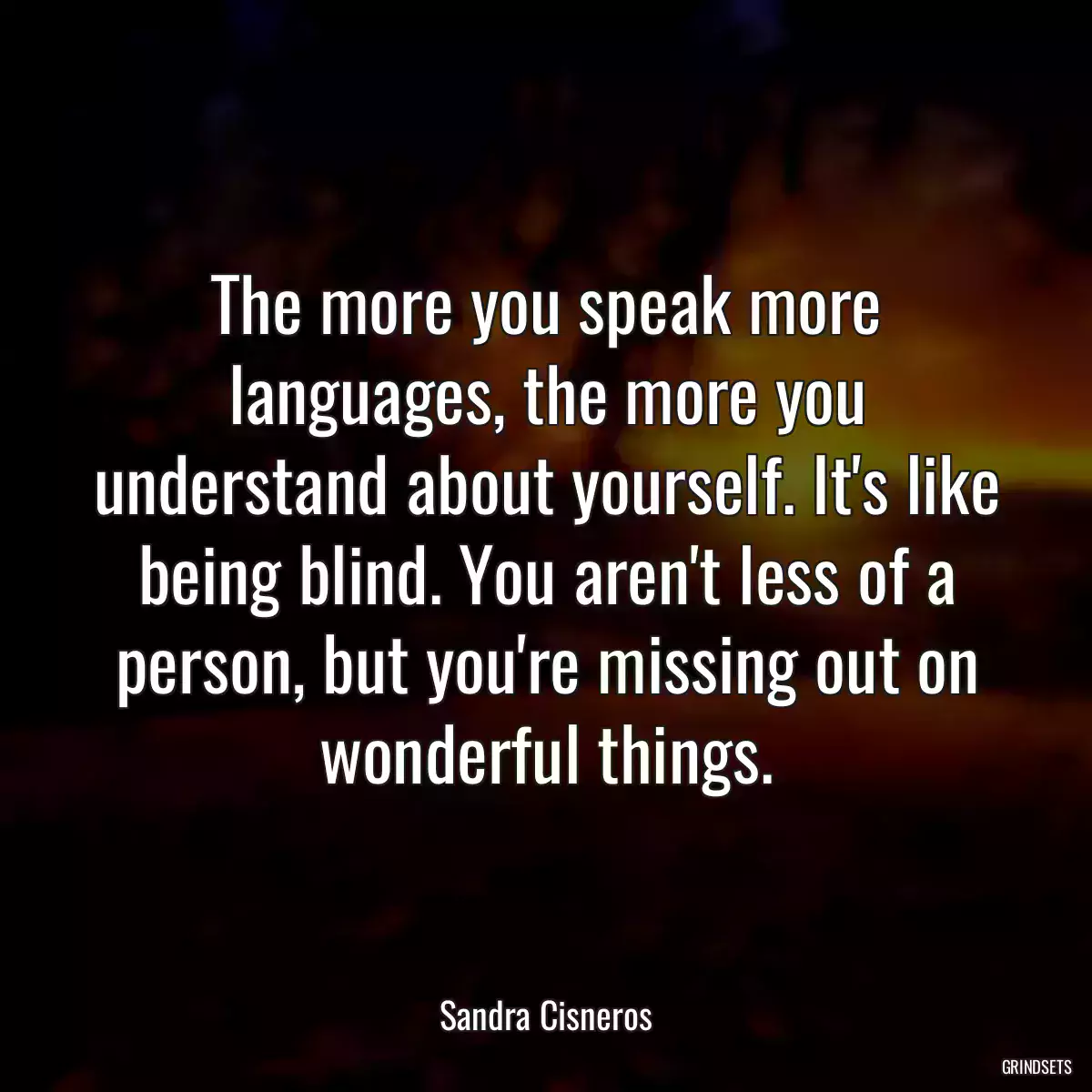 The more you speak more languages, the more you understand about yourself. It\'s like being blind. You aren\'t less of a person, but you\'re missing out on wonderful things.