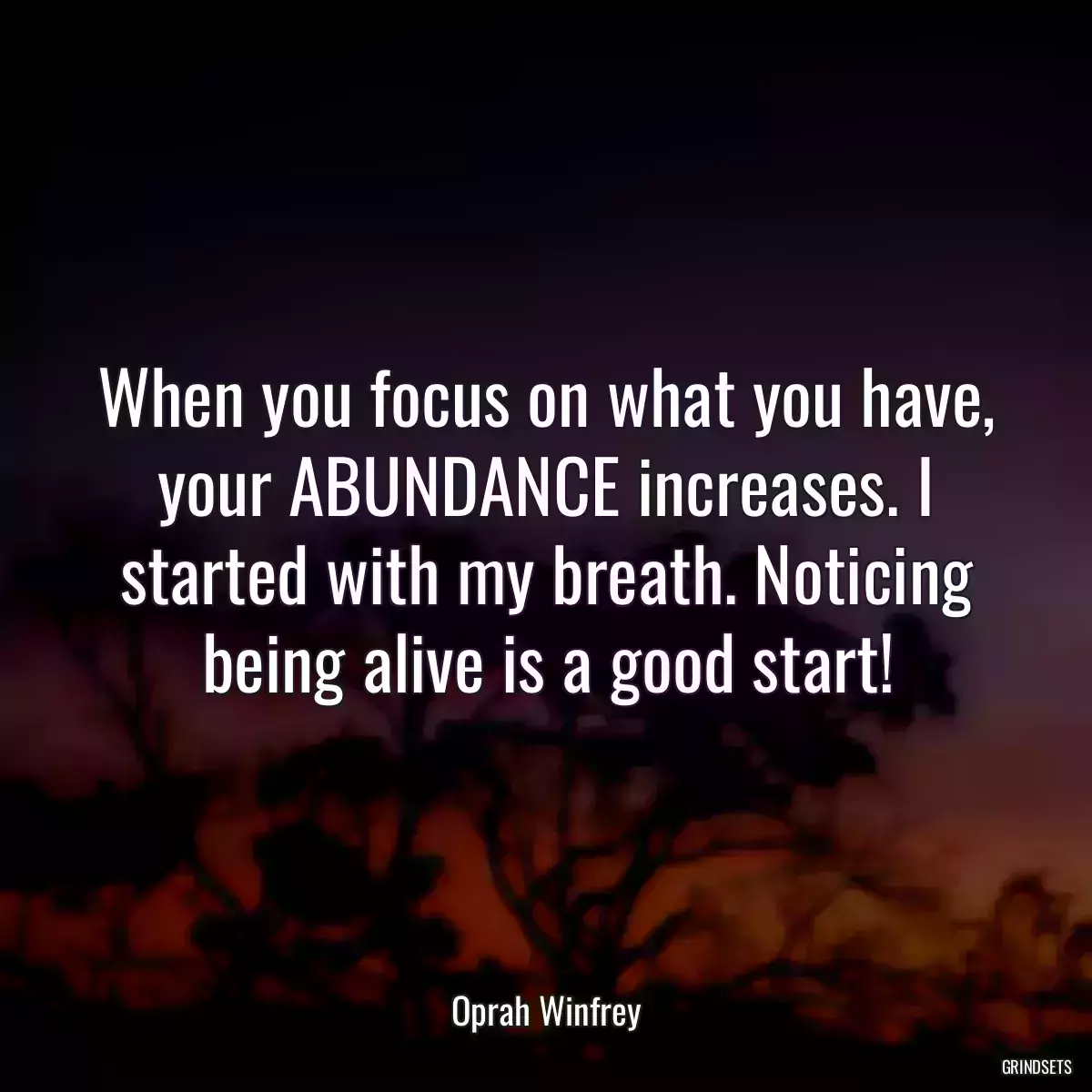 When you focus on what you have, your ABUNDANCE increases. I started with my breath. Noticing being alive is a good start!