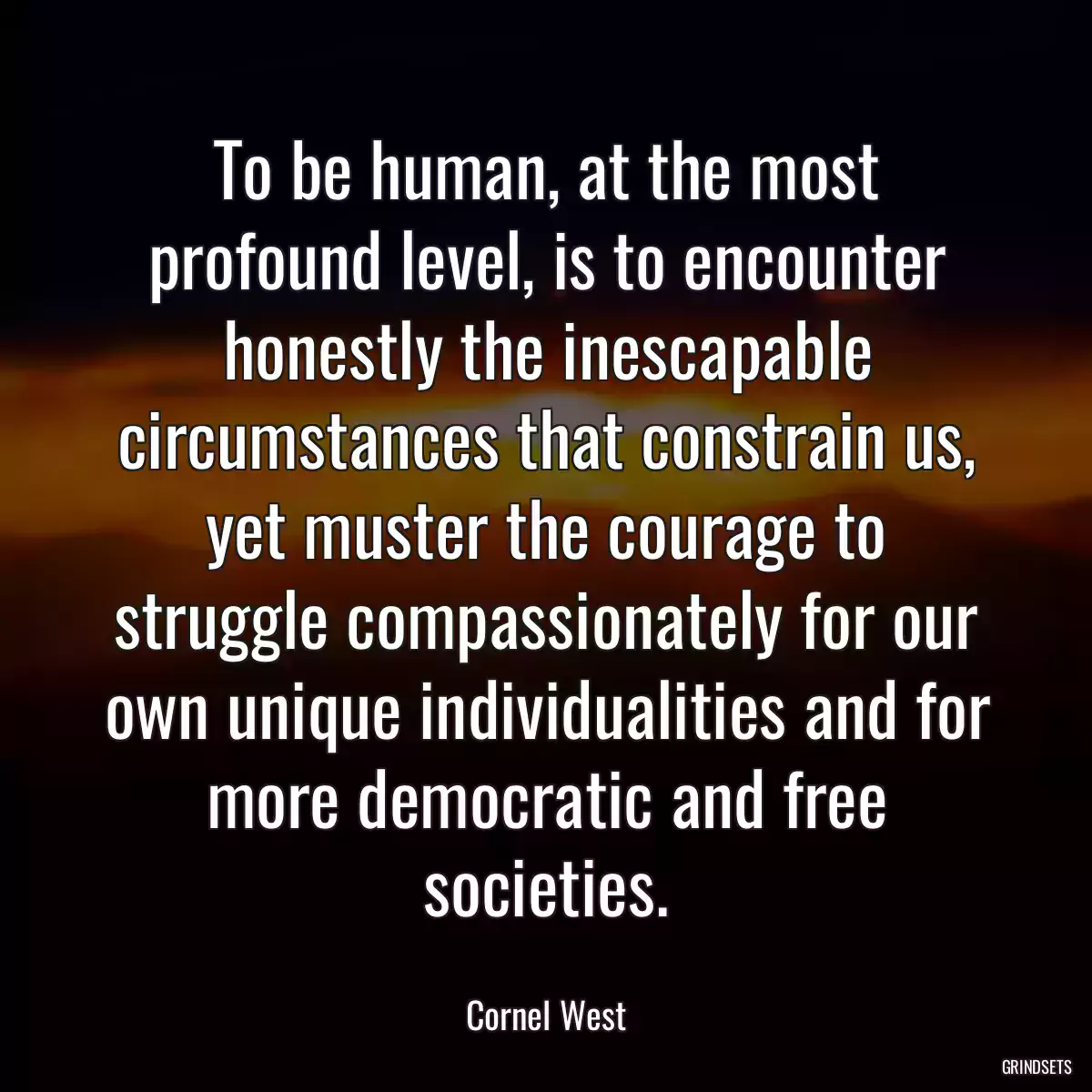 To be human, at the most profound level, is to encounter honestly the inescapable circumstances that constrain us, yet muster the courage to struggle compassionately for our own unique individualities and for more democratic and free societies.