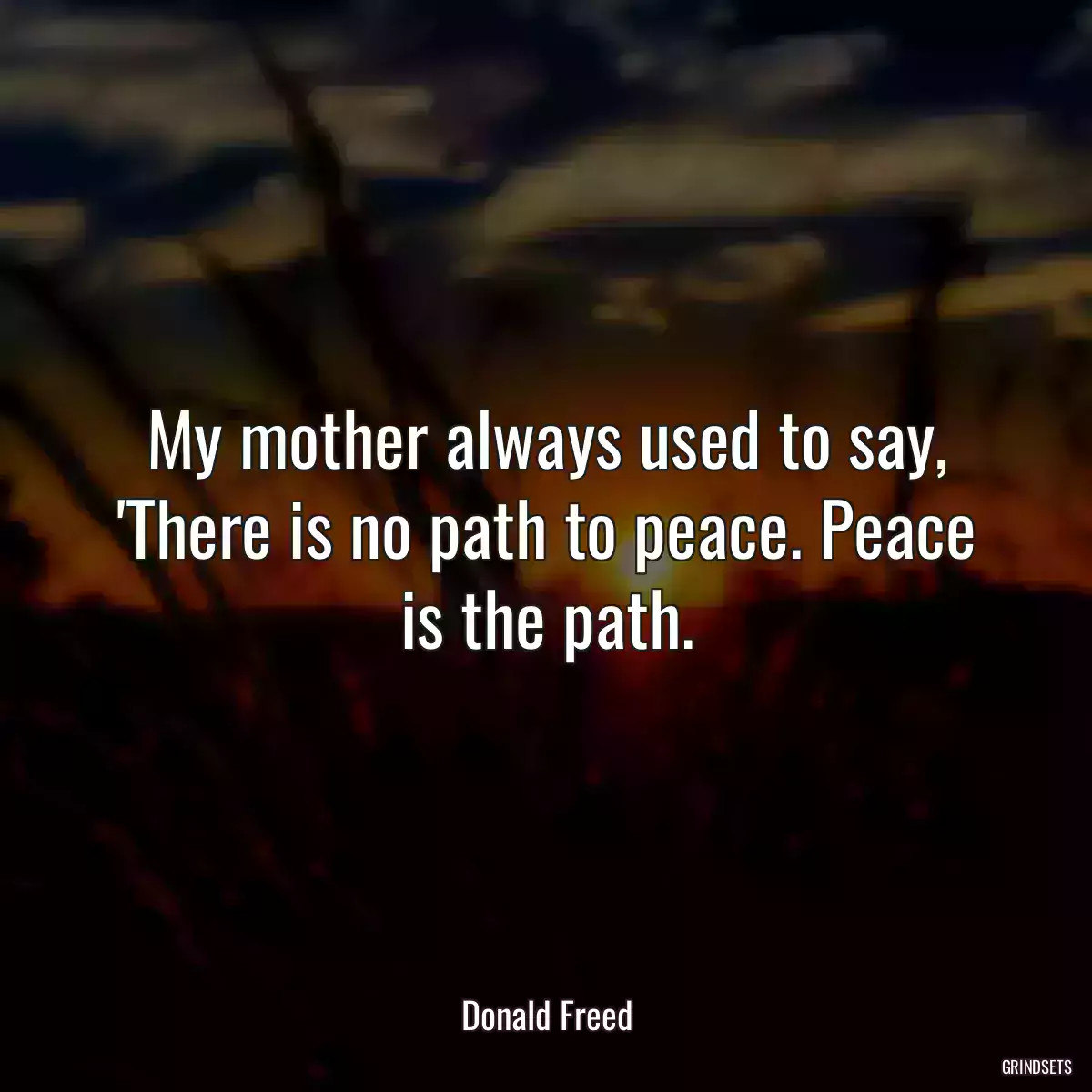 My mother always used to say, \'There is no path to peace. Peace is the path.