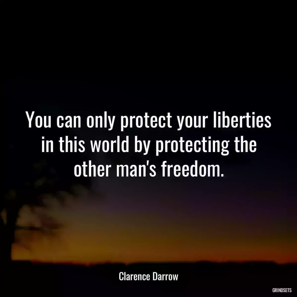 You can only protect your liberties in this world by protecting the other man\'s freedom.