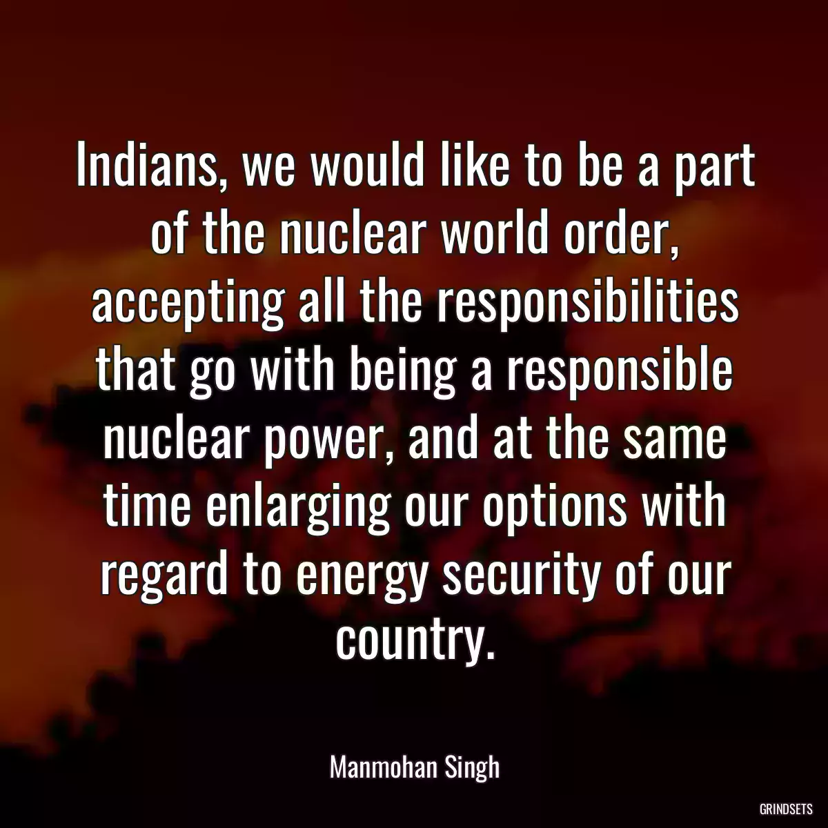 Indians, we would like to be a part of the nuclear world order, accepting all the responsibilities that go with being a responsible nuclear power, and at the same time enlarging our options with regard to energy security of our country.