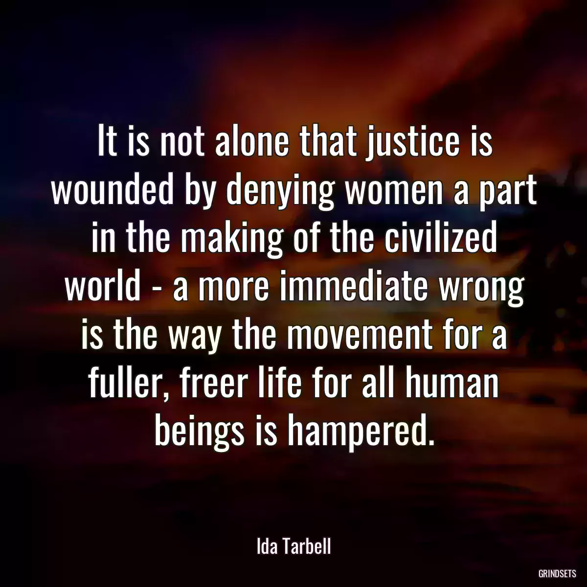 It is not alone that justice is wounded by denying women a part in the making of the civilized world - a more immediate wrong is the way the movement for a fuller, freer life for all human beings is hampered.