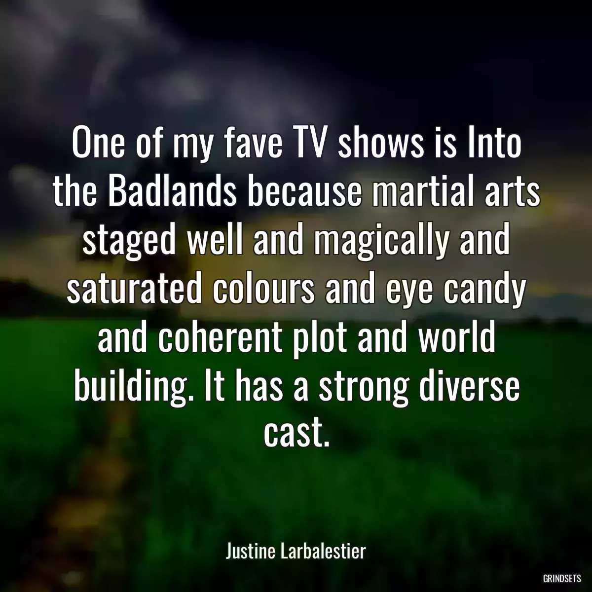 One of my fave TV shows is Into the Badlands because martial arts staged well and magically and saturated colours and eye candy and coherent plot and world building. It has a strong diverse cast.