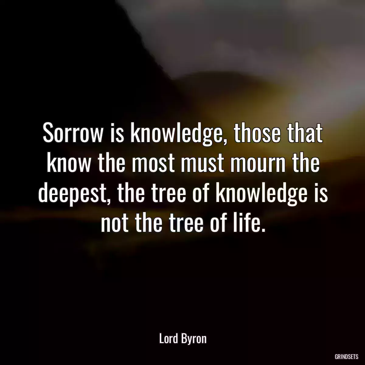 Sorrow is knowledge, those that know the most must mourn the deepest, the tree of knowledge is not the tree of life.