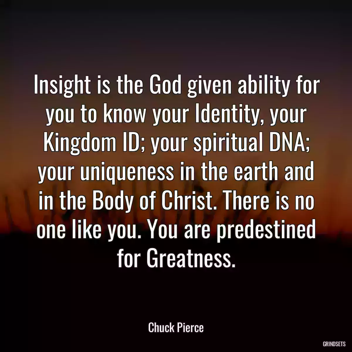 Insight is the God given ability for you to know your Identity, your Kingdom ID; your spiritual DNA; your uniqueness in the earth and in the Body of Christ. There is no one like you. You are predestined for Greatness.