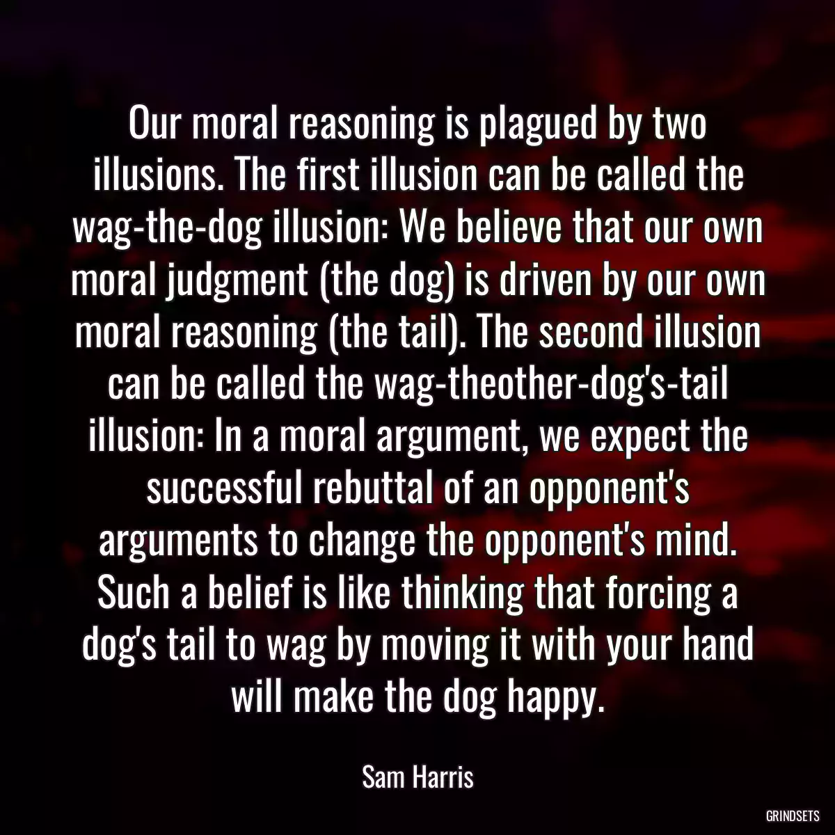 Our moral reasoning is plagued by two illusions. The first illusion can be called the wag-the-dog illusion: We believe that our own moral judgment (the dog) is driven by our own moral reasoning (the tail). The second illusion can be called the wag-theother-dog\'s-tail illusion: In a moral argument, we expect the successful rebuttal of an opponent\'s arguments to change the opponent\'s mind. Such a belief is like thinking that forcing a dog\'s tail to wag by moving it with your hand will make the dog happy.