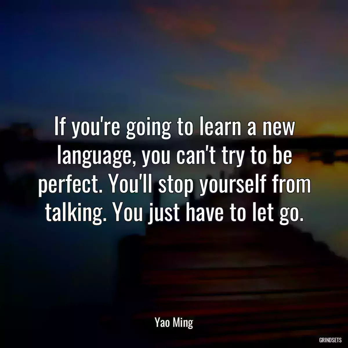 If you\'re going to learn a new language, you can\'t try to be perfect. You\'ll stop yourself from talking. You just have to let go.