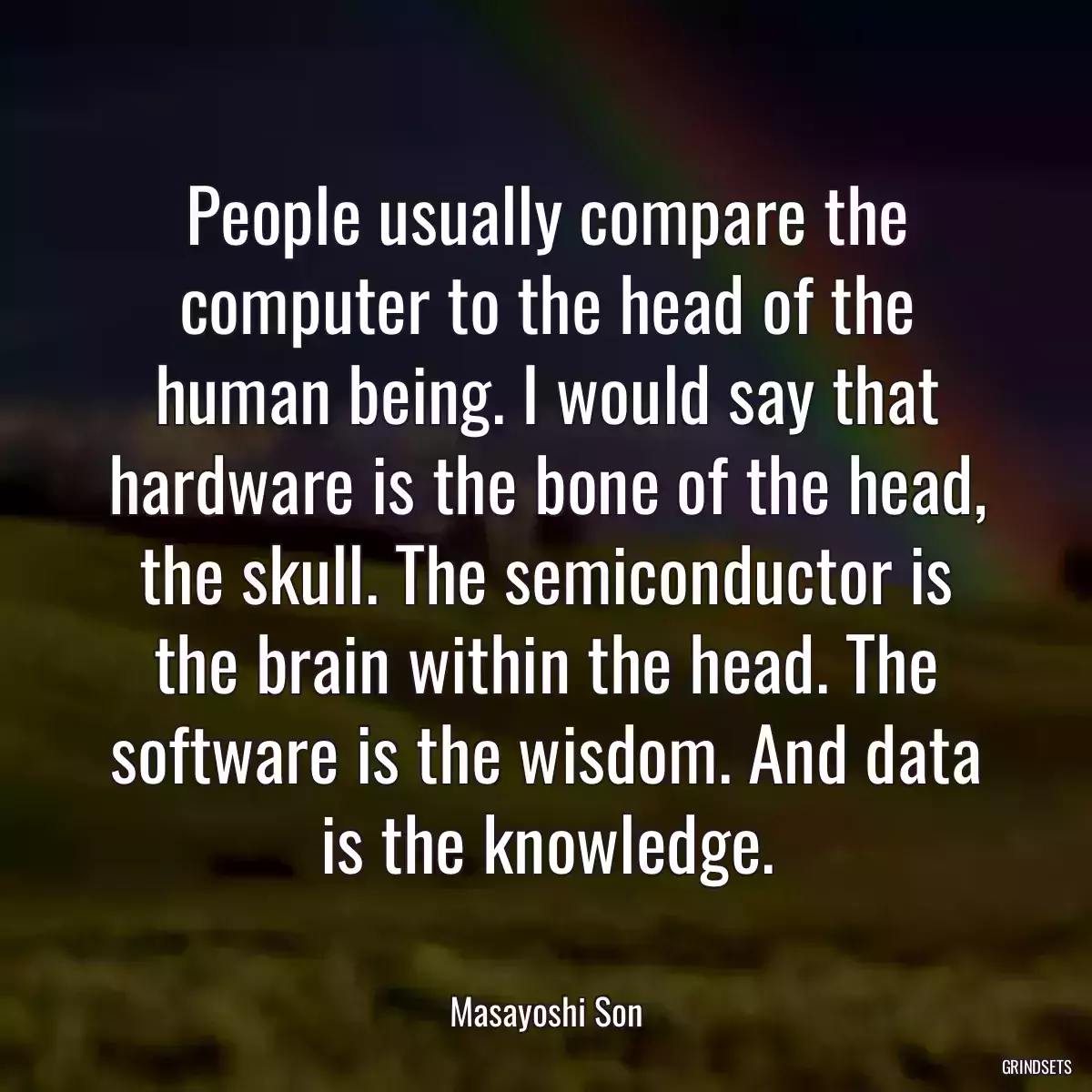 People usually compare the computer to the head of the human being. I would say that hardware is the bone of the head, the skull. The semiconductor is the brain within the head. The software is the wisdom. And data is the knowledge.