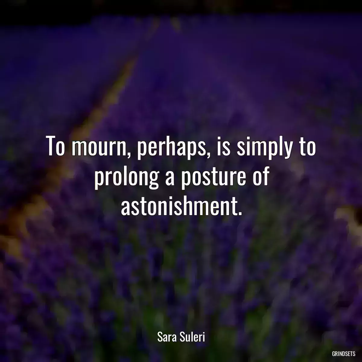 To mourn, perhaps, is simply to prolong a posture of astonishment.