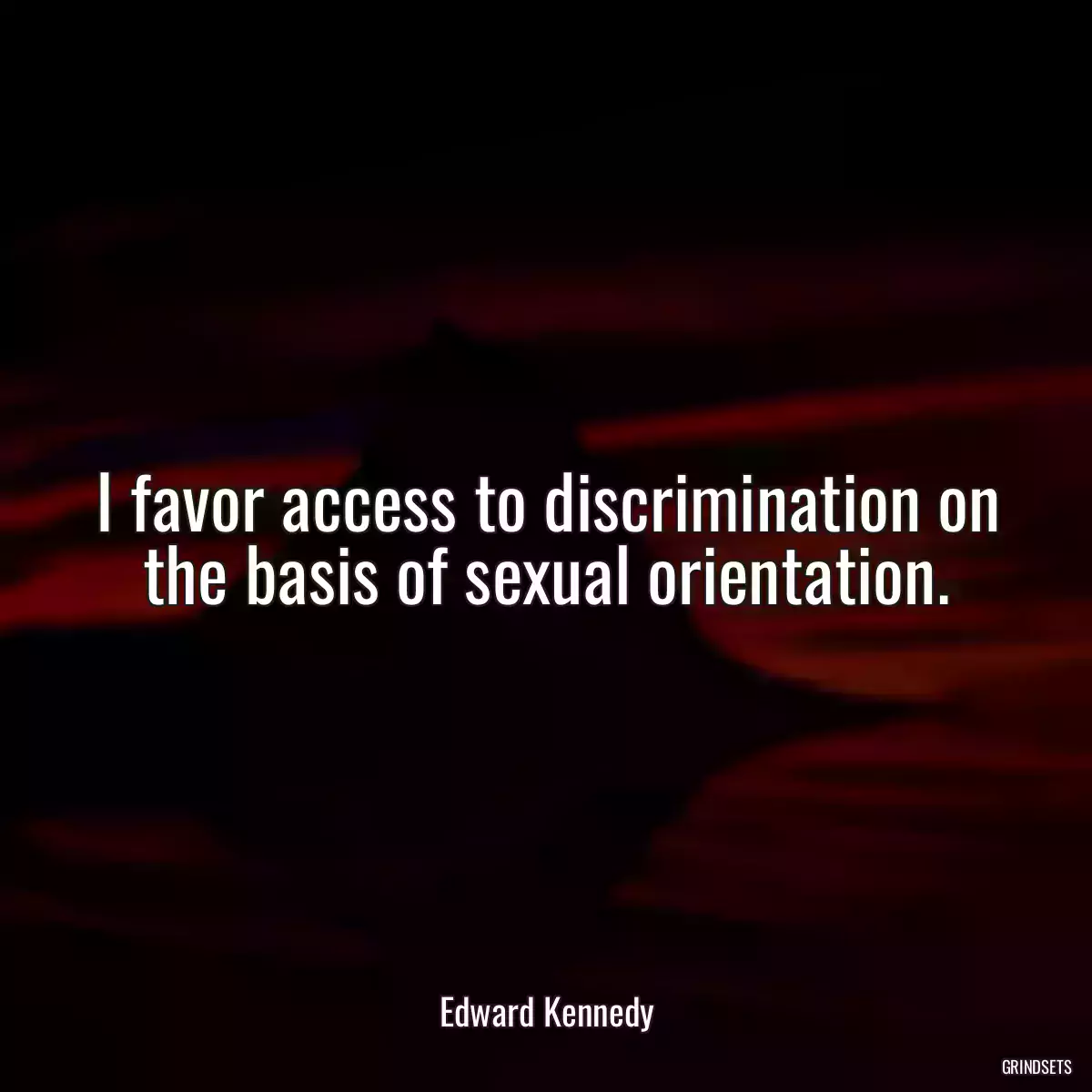 I favor access to discrimination on the basis of sexual orientation.