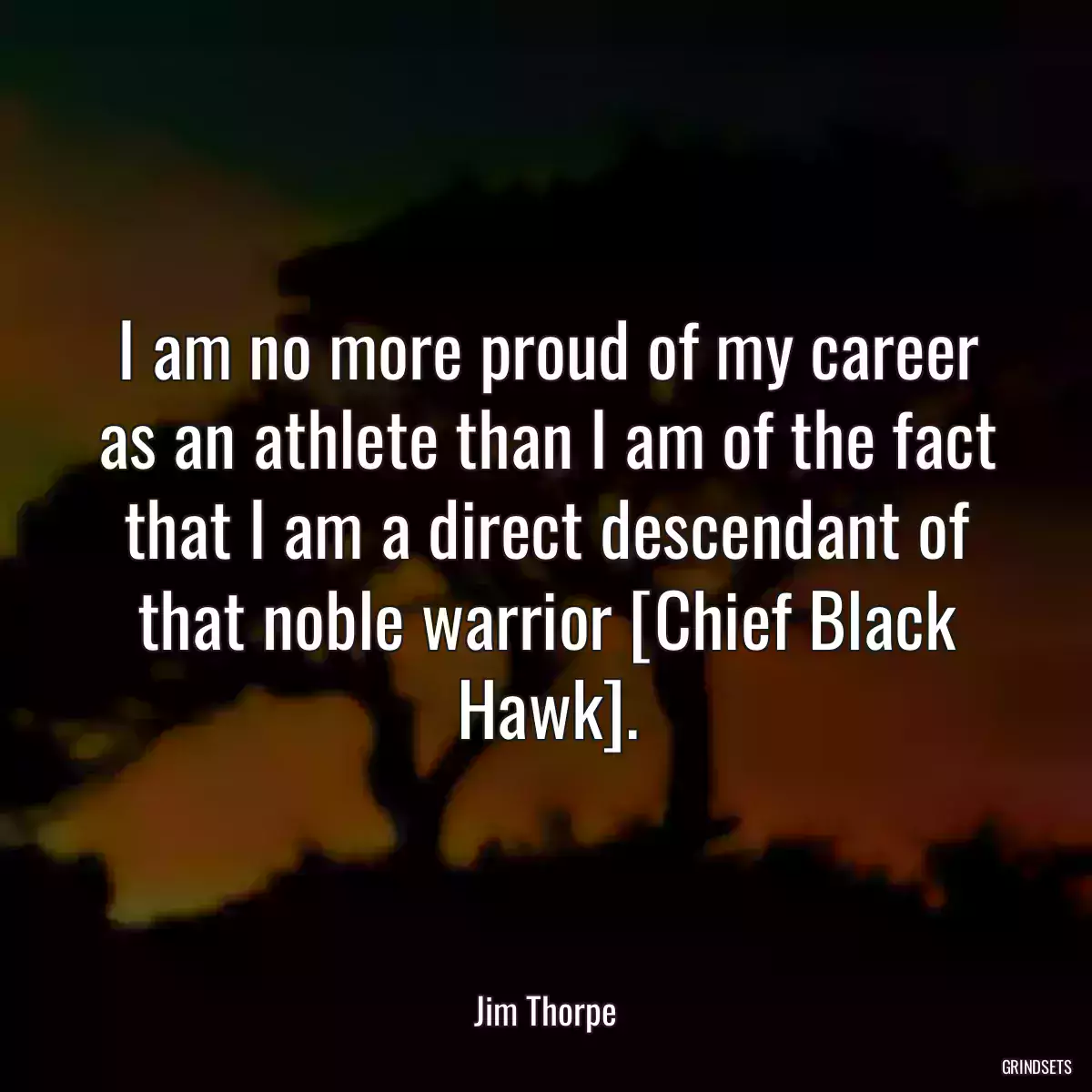 I am no more proud of my career as an athlete than I am of the fact that I am a direct descendant of that noble warrior [Chief Black Hawk].