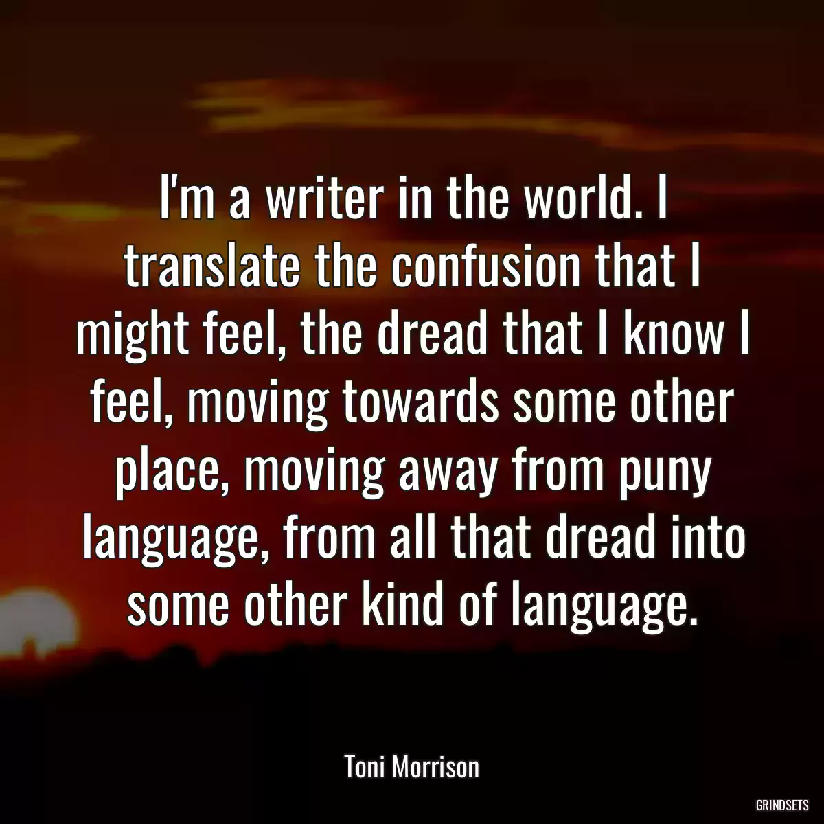 I\'m a writer in the world. I translate the confusion that I might feel, the dread that I know I feel, moving towards some other place, moving away from puny language, from all that dread into some other kind of language.