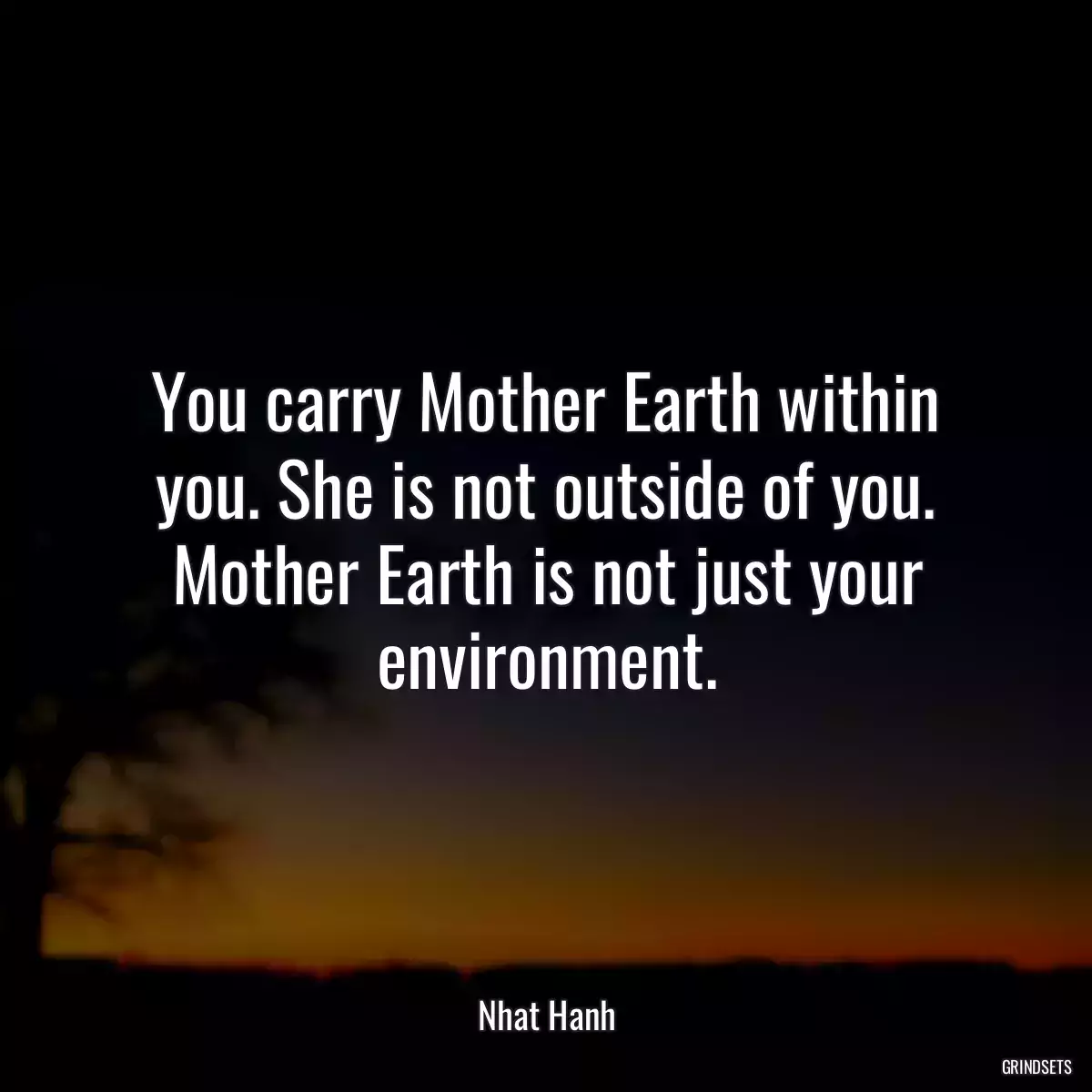 You carry Mother Earth within you. She is not outside of you. Mother Earth is not just your environment.