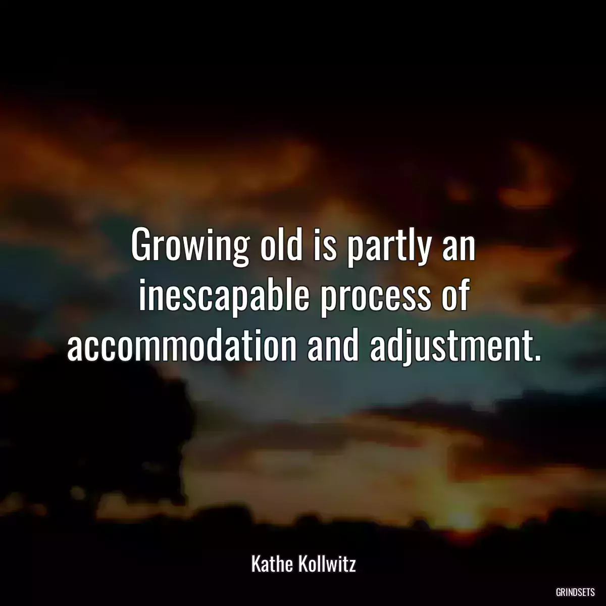 Growing old is partly an inescapable process of accommodation and adjustment.