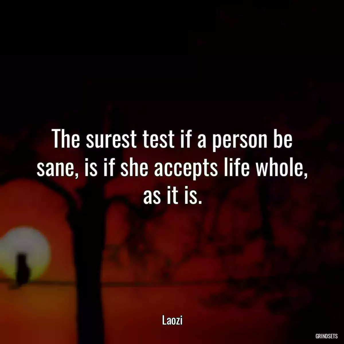 The surest test if a person be sane, is if she accepts life whole, as it is.