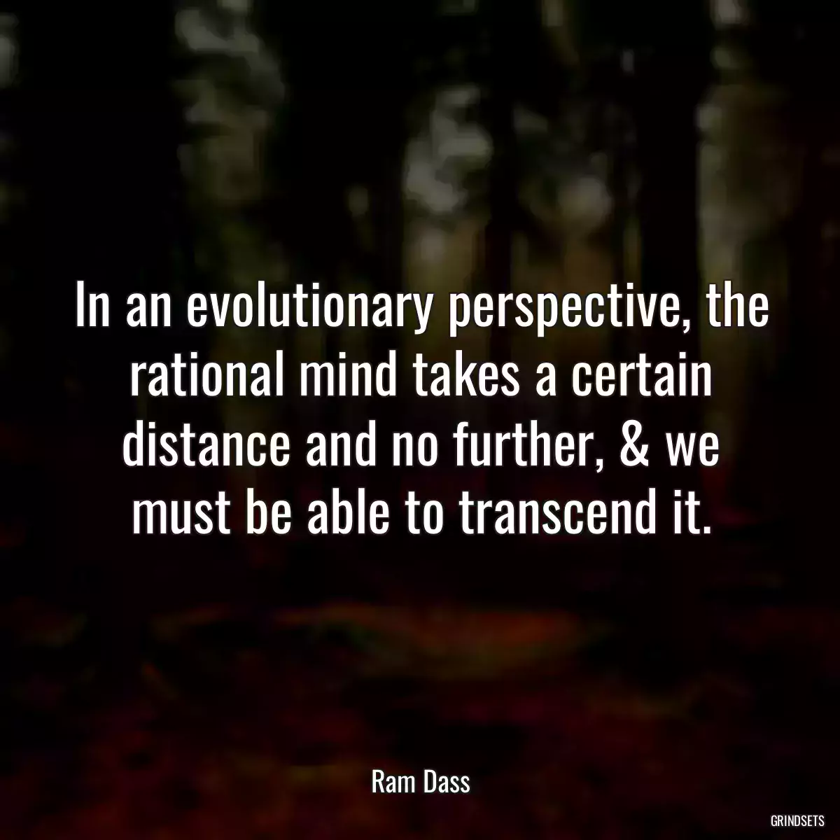 In an evolutionary perspective, the rational mind takes a certain distance and no further, & we must be able to transcend it.