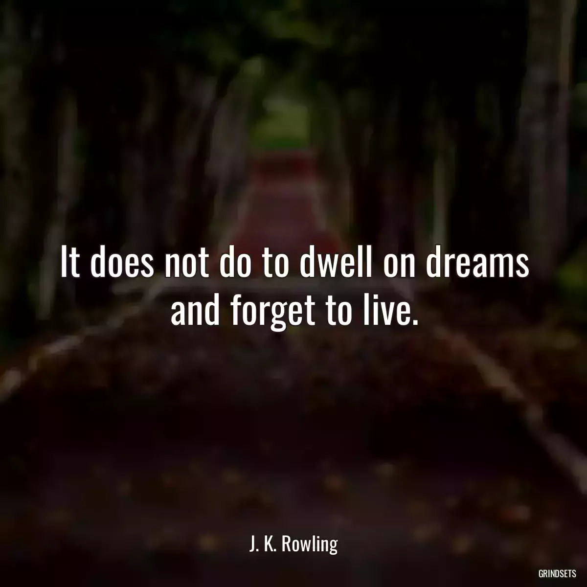 It does not do to dwell on dreams and forget to live.