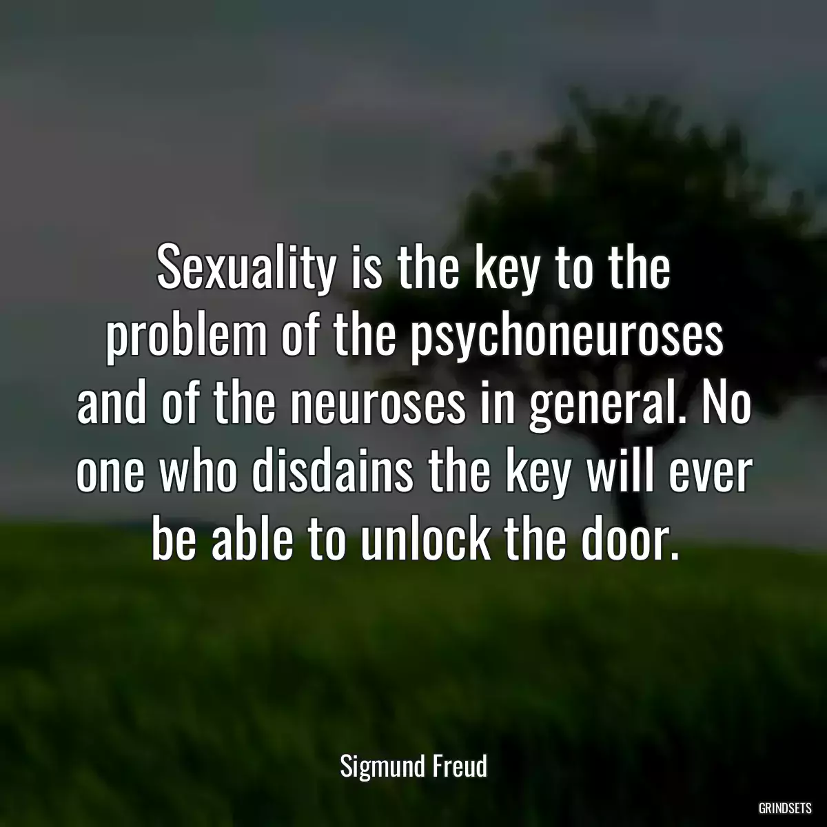 Sexuality is the key to the problem of the psychoneuroses and of the neuroses in general. No one who disdains the key will ever be able to unlock the door.