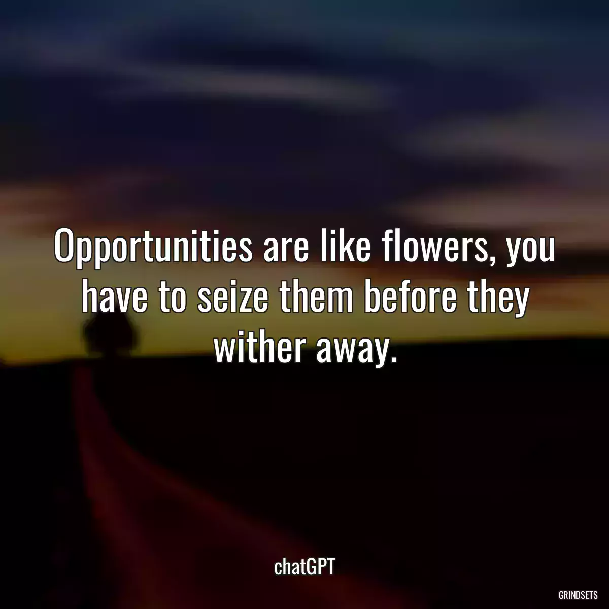 Opportunities are like flowers, you have to seize them before they wither away.