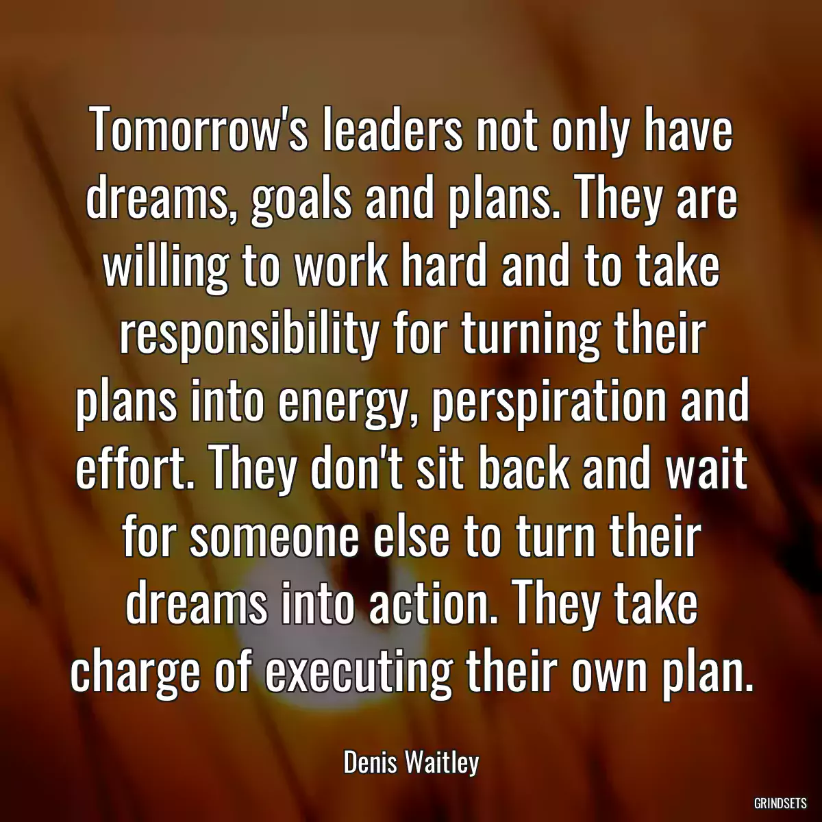 Tomorrow\'s leaders not only have dreams, goals and plans. They are willing to work hard and to take responsibility for turning their plans into energy, perspiration and effort. They don\'t sit back and wait for someone else to turn their dreams into action. They take charge of executing their own plan.