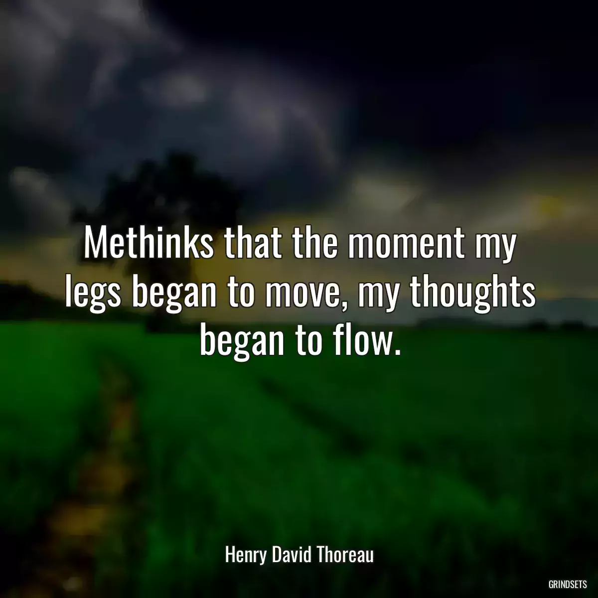 Methinks that the moment my legs began to move, my thoughts began to flow.