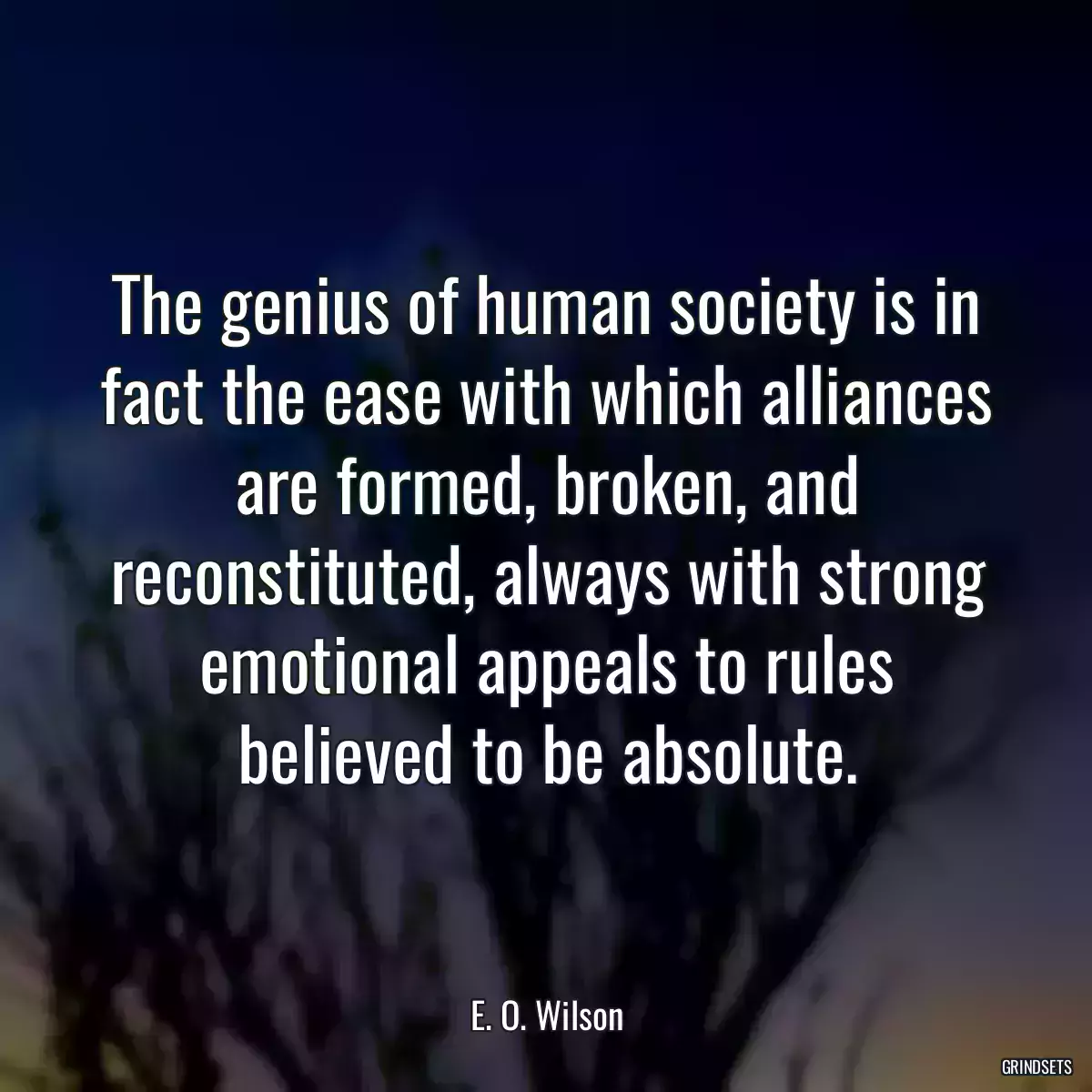 The genius of human society is in fact the ease with which alliances are formed, broken, and reconstituted, always with strong emotional appeals to rules believed to be absolute.