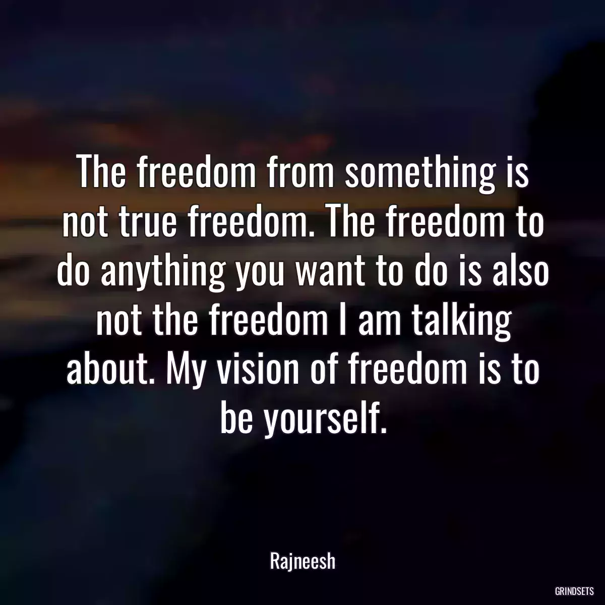 The freedom from something is not true freedom. The freedom to do anything you want to do is also not the freedom I am talking about. My vision of freedom is to be yourself.