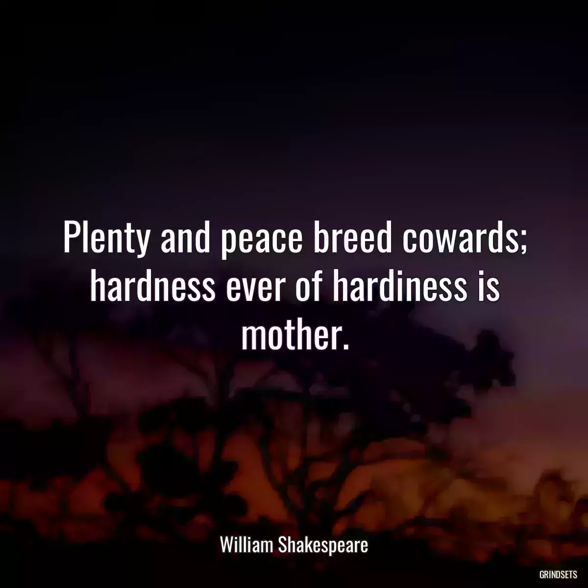 Plenty and peace breed cowards; hardness ever of hardiness is mother.